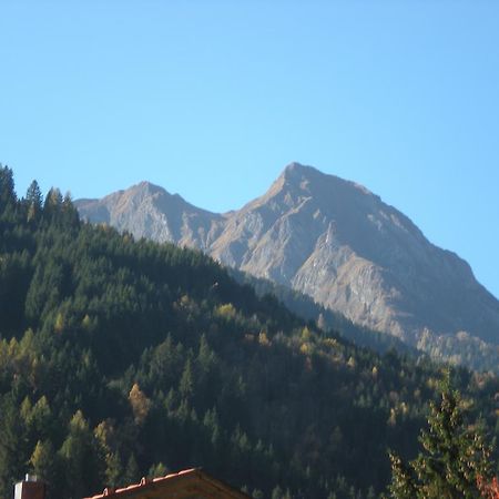 Haus Zerza Leilighet Dorfgastein Eksteriør bilde